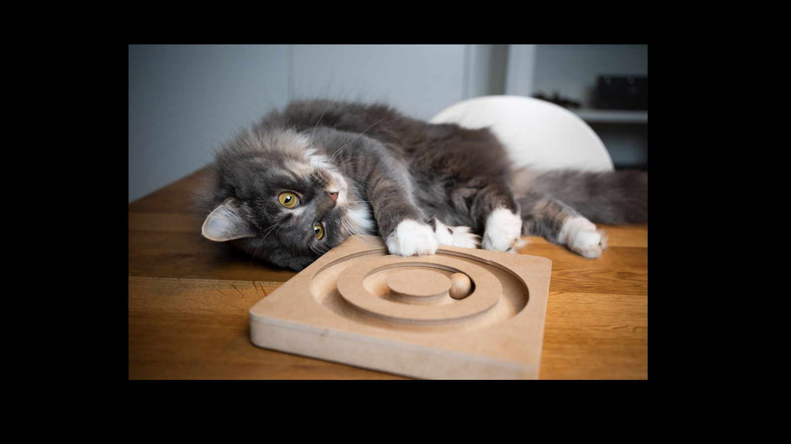 名称未設定のデザイン (50).png