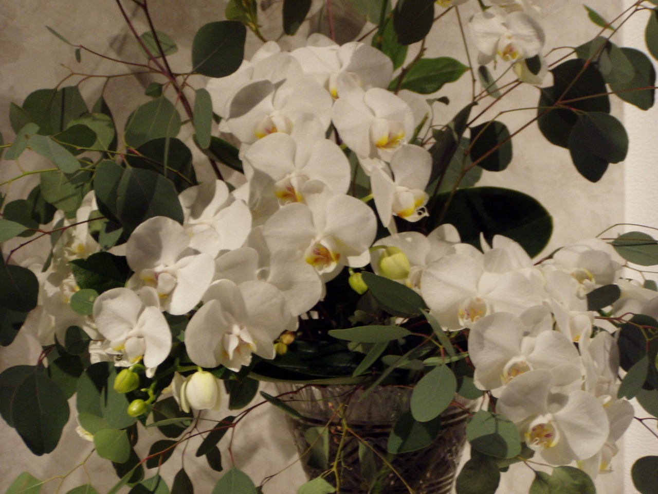 P1010063.JPG