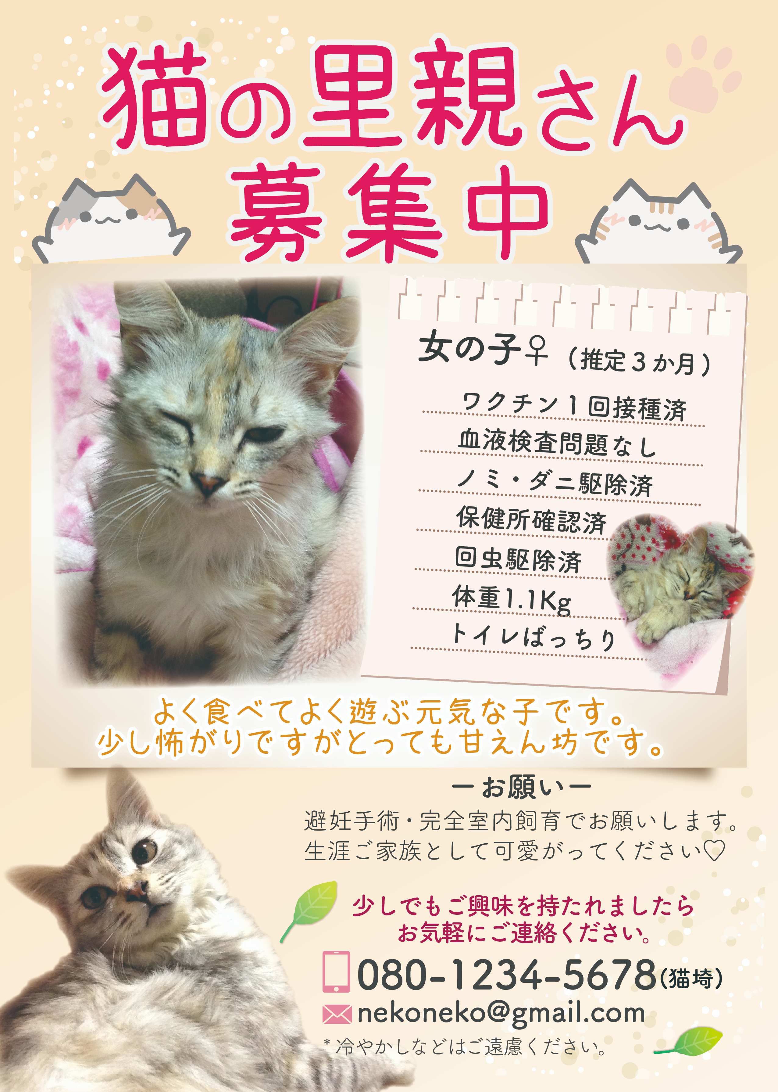 202111_里親さん募集チラシ3_アートボード 1.jpg