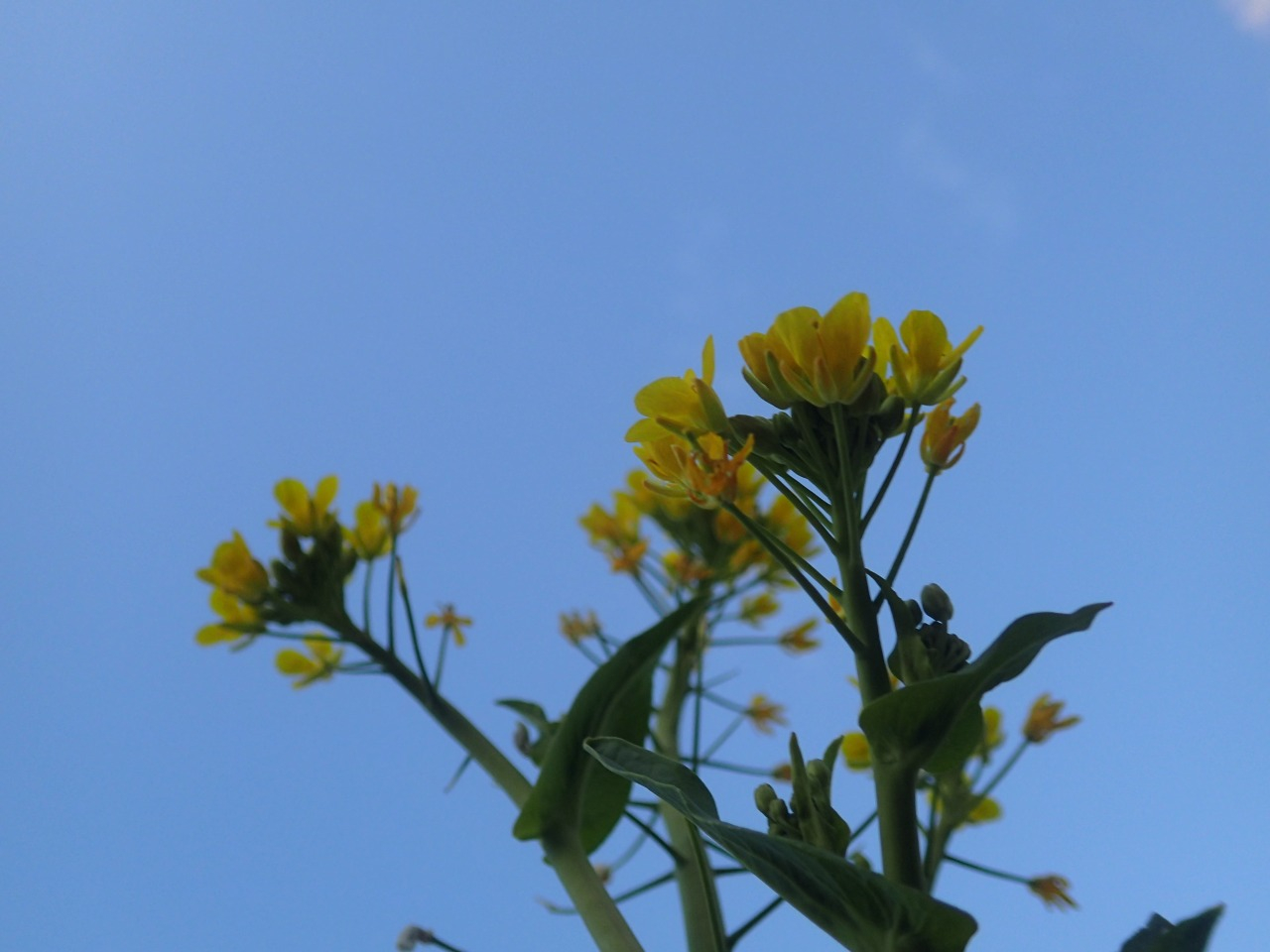 P1280177.JPG