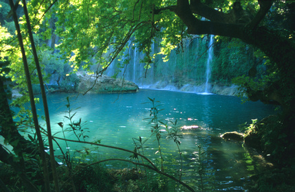 stockfoto_729517_S.jpg