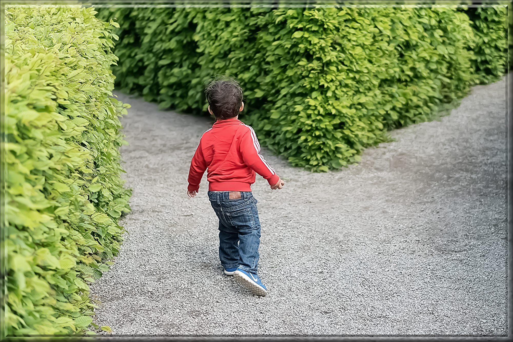 child-1721906.jpg
