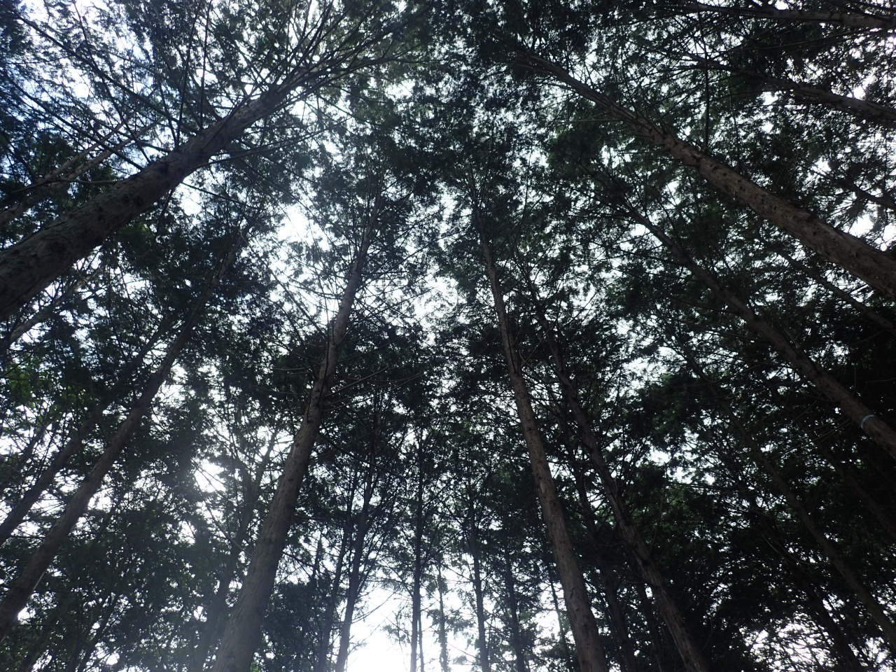 P7220597.JPG