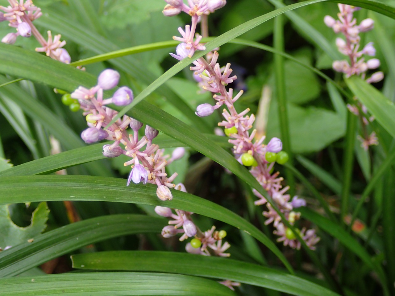 PA121158.JPG