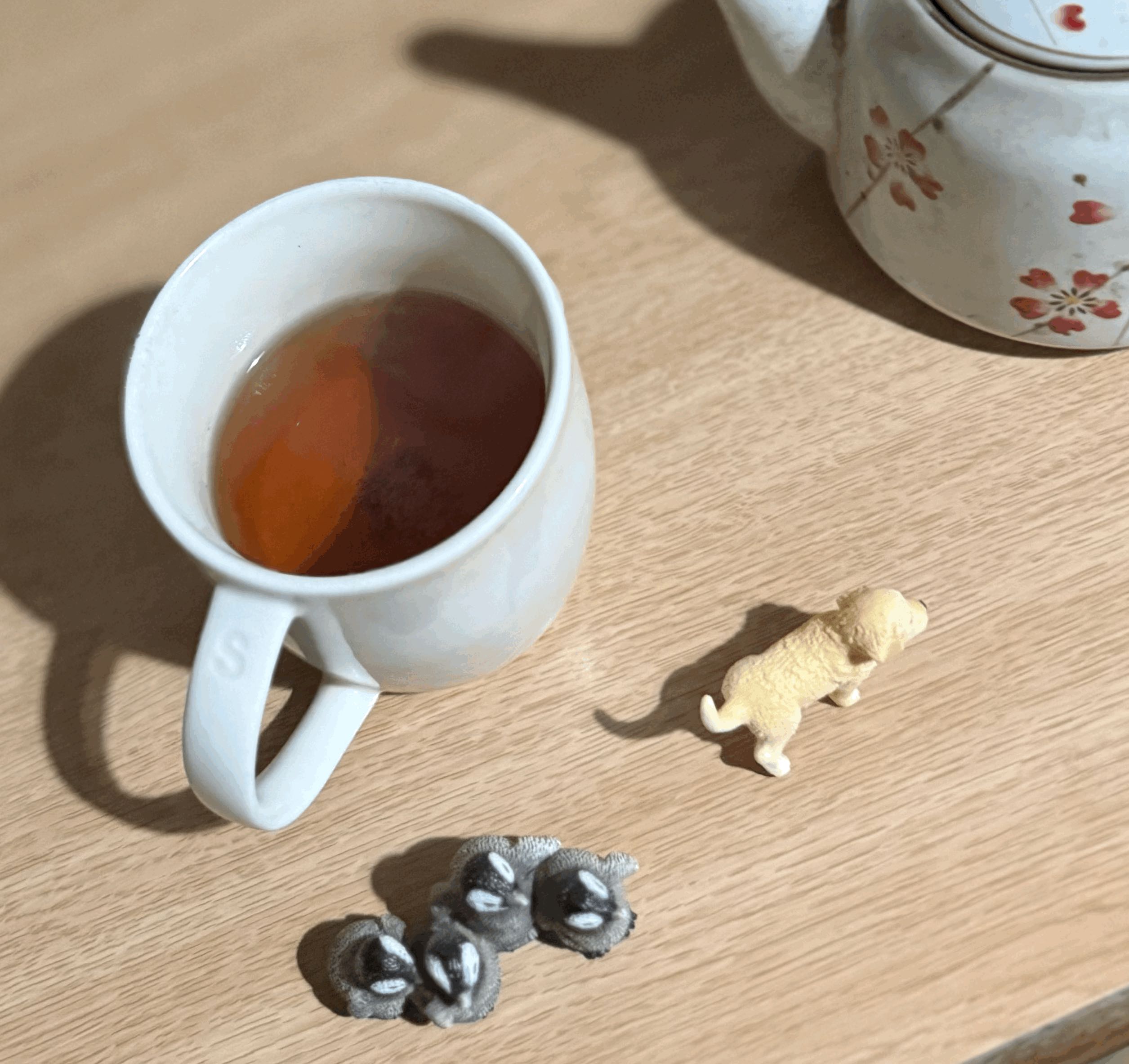tempImagezaszWZ.gif