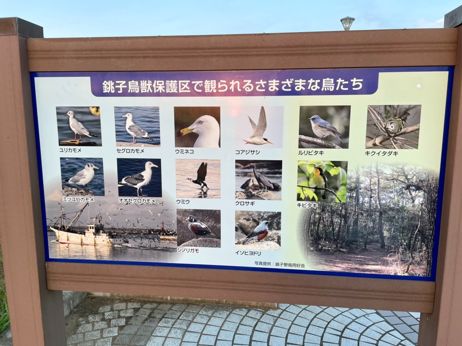 S__46317576.jpg