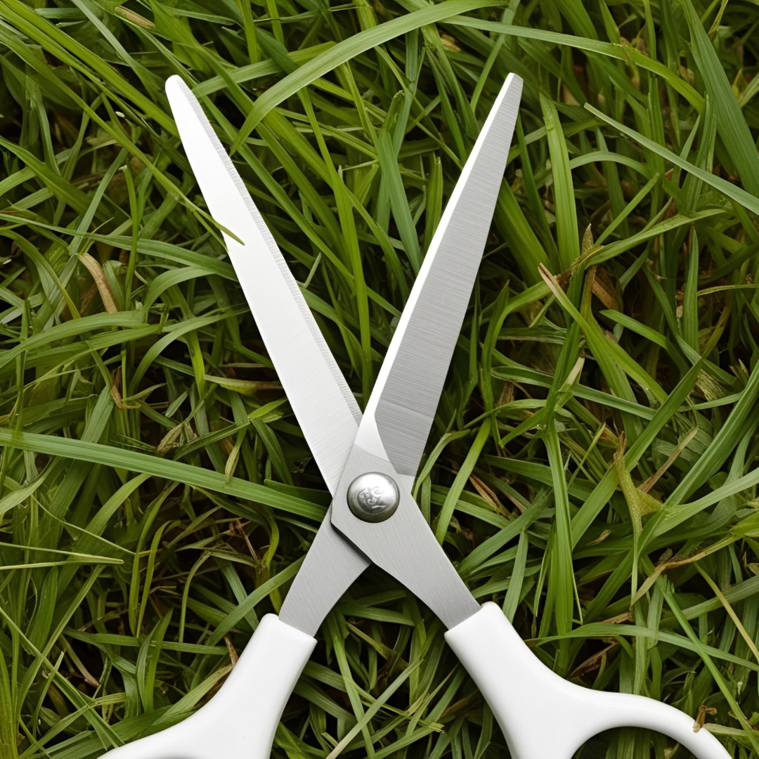 火が 多すぎると - 2.png