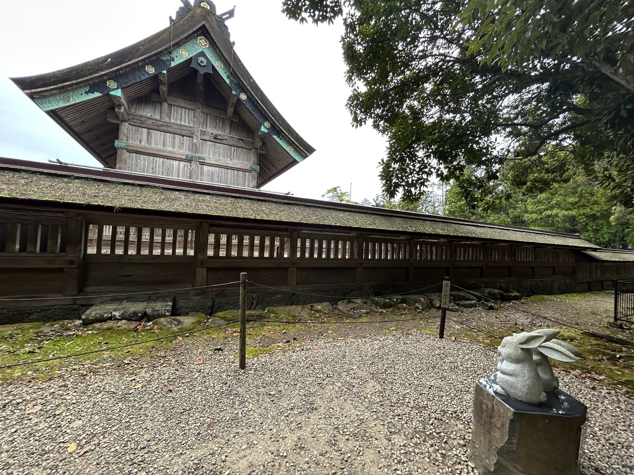 image7 (1).jpeg