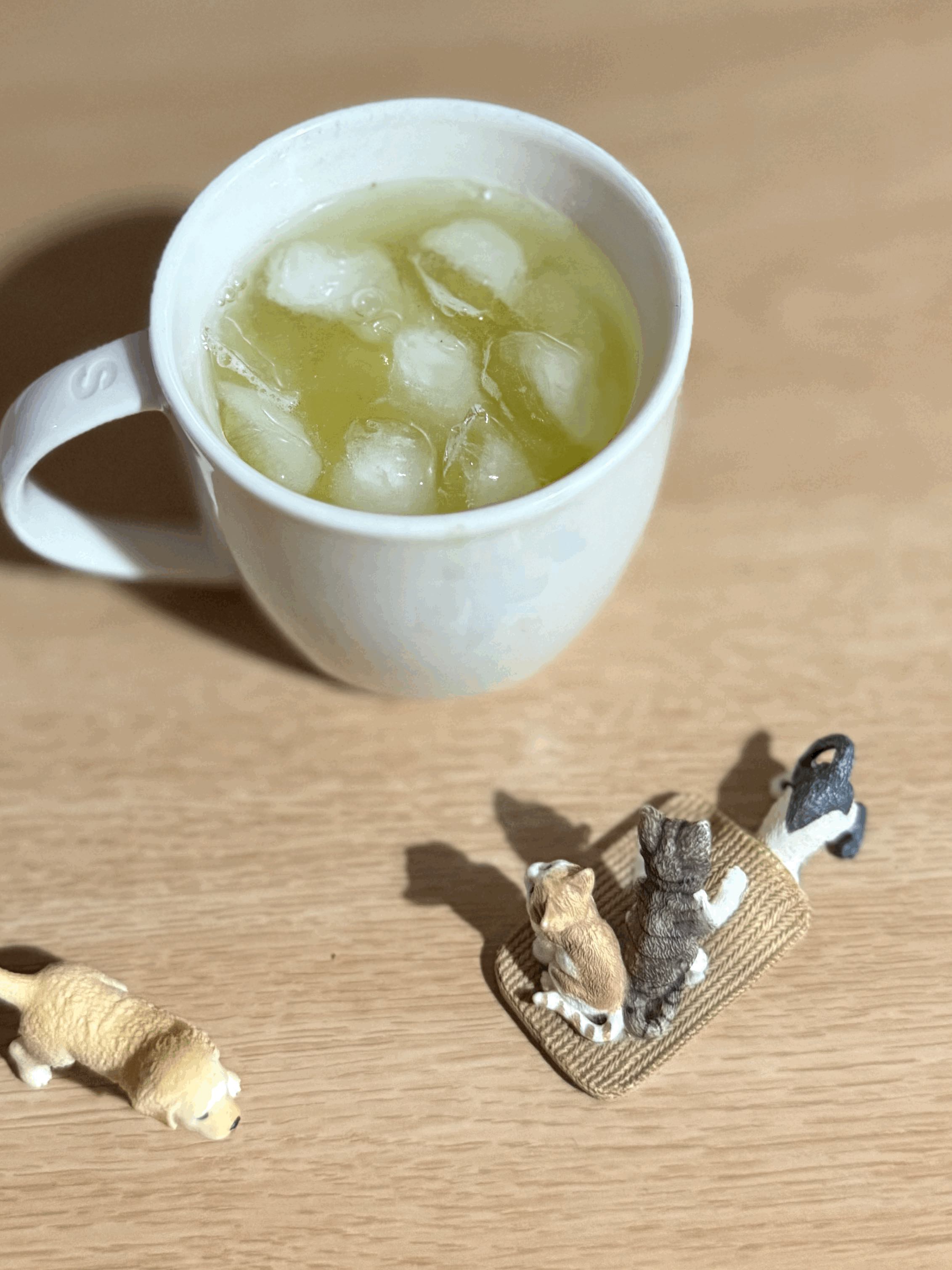 tempImageSoRylE.gif