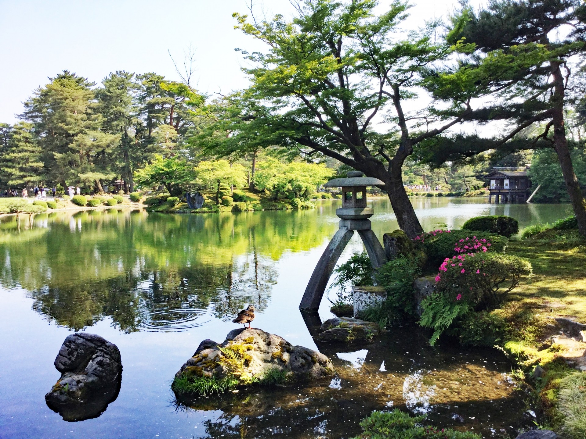 兼六園.jpg