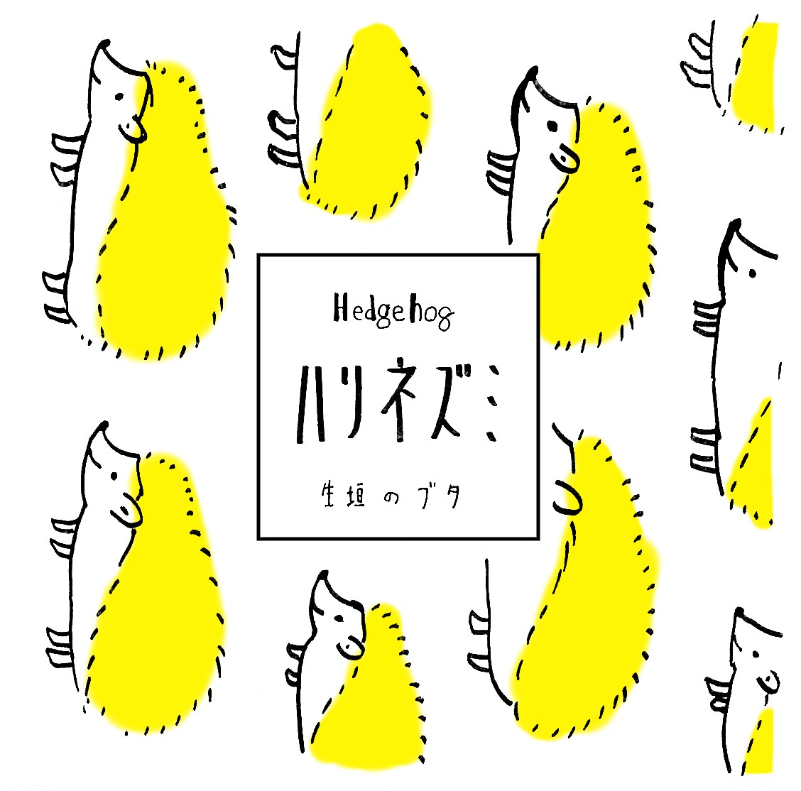 ハリネズミ.jpeg