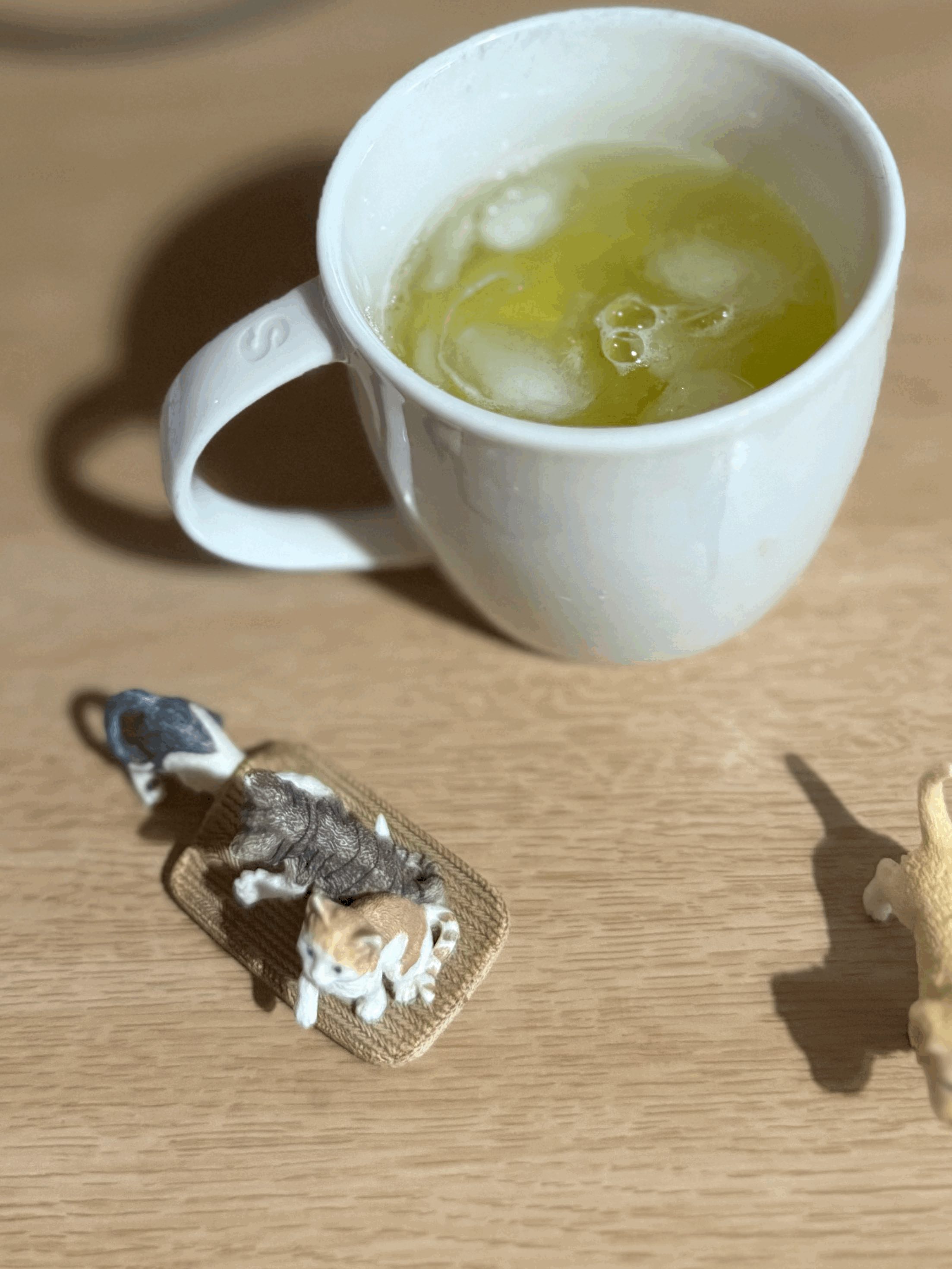 tempImageQfKkpM.gif