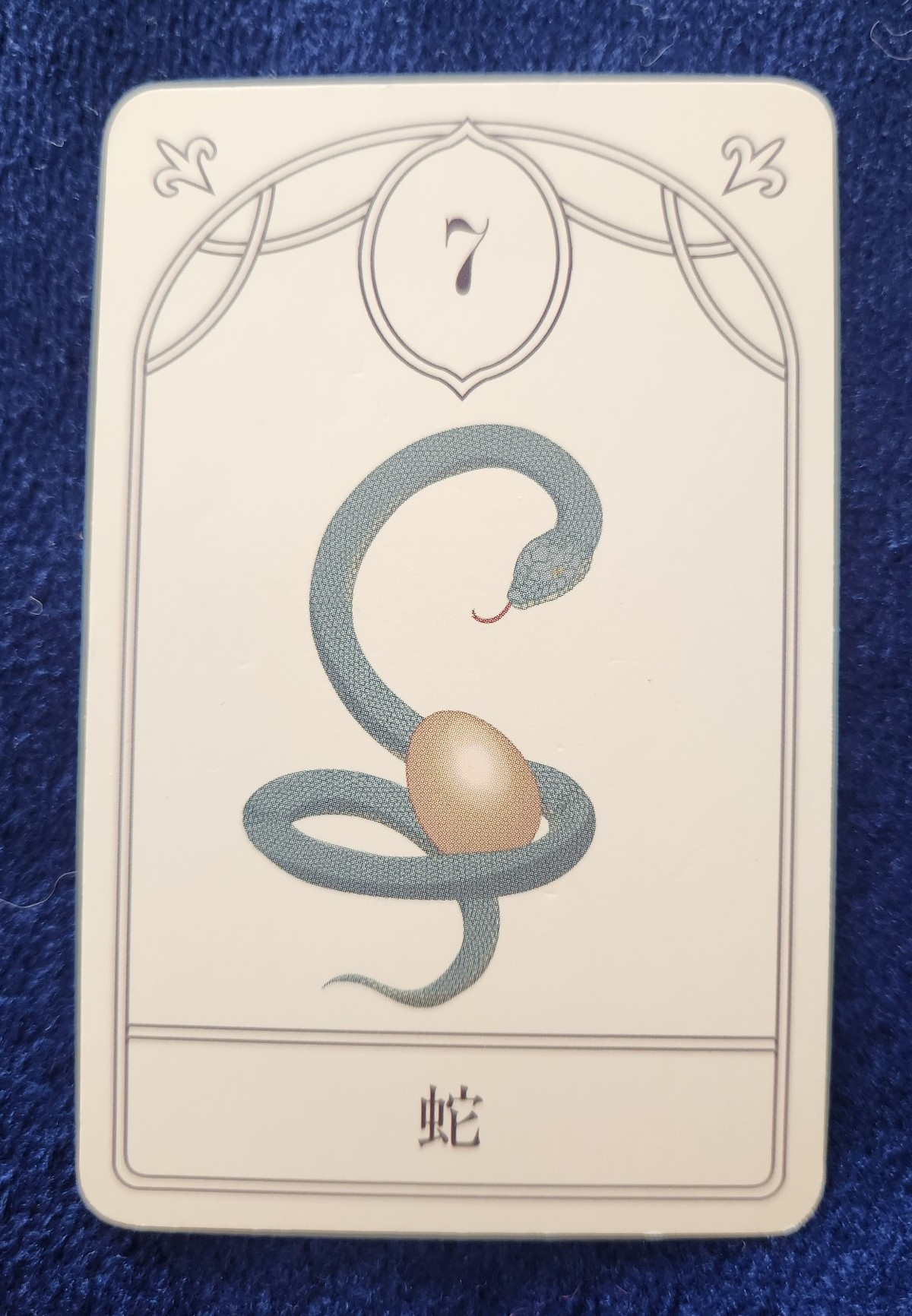 20231119_095458 (002).jpg