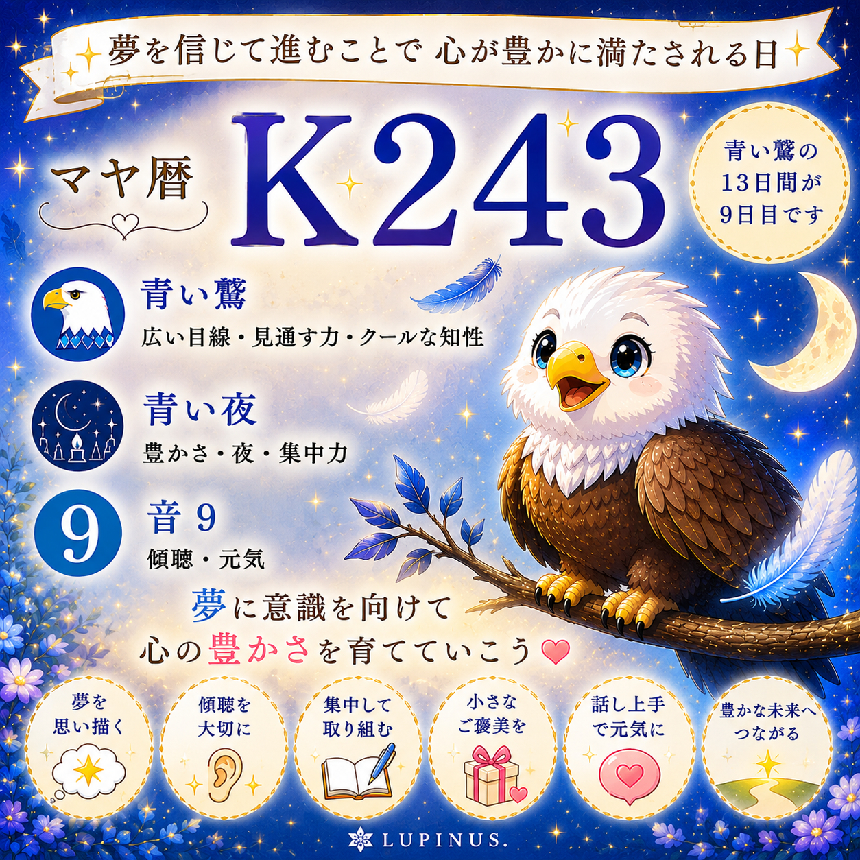 243.png