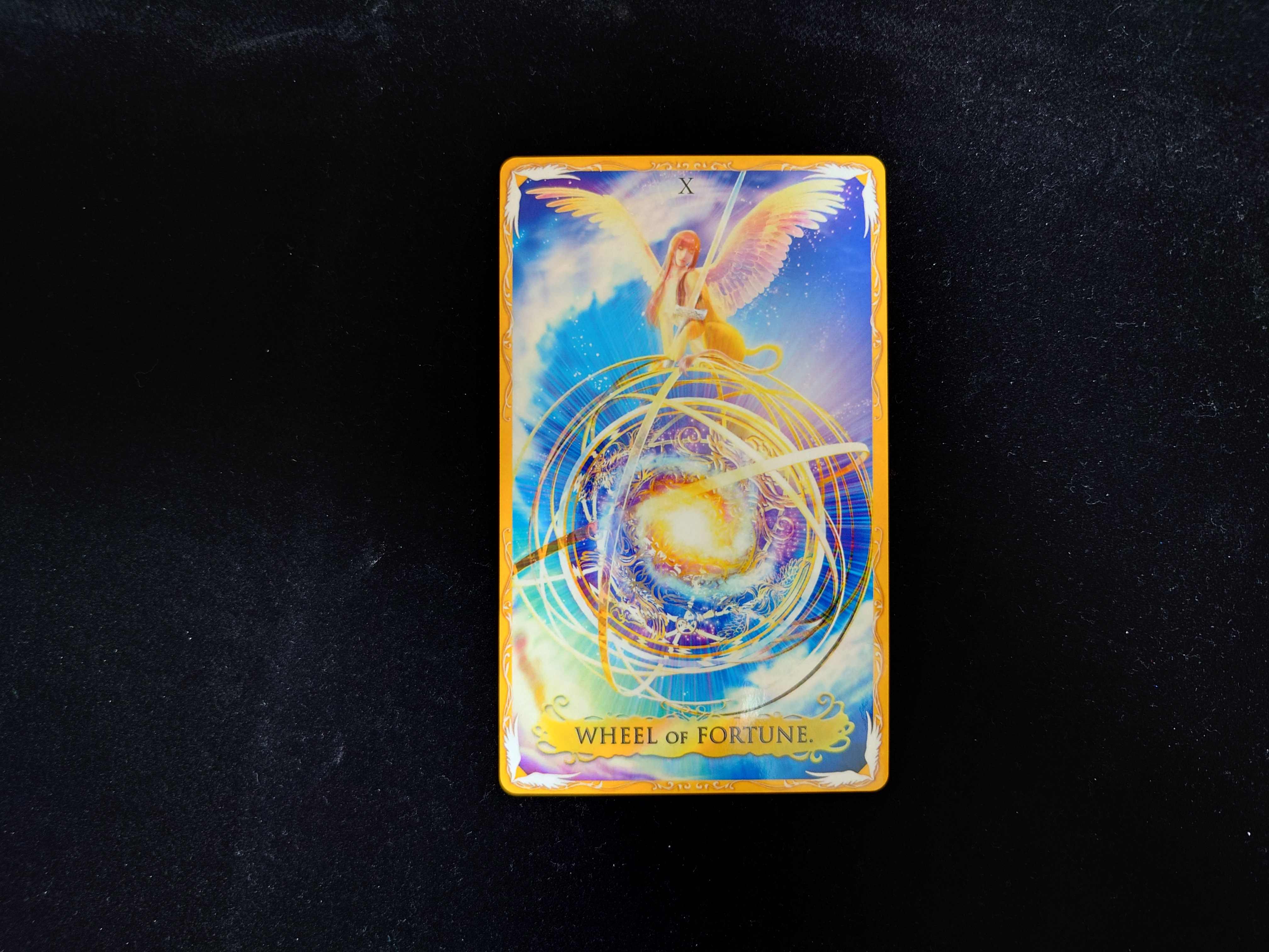 20230205_172607.JPG