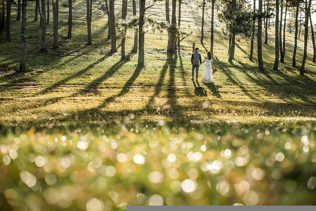 wedding-6674650_640.jpg