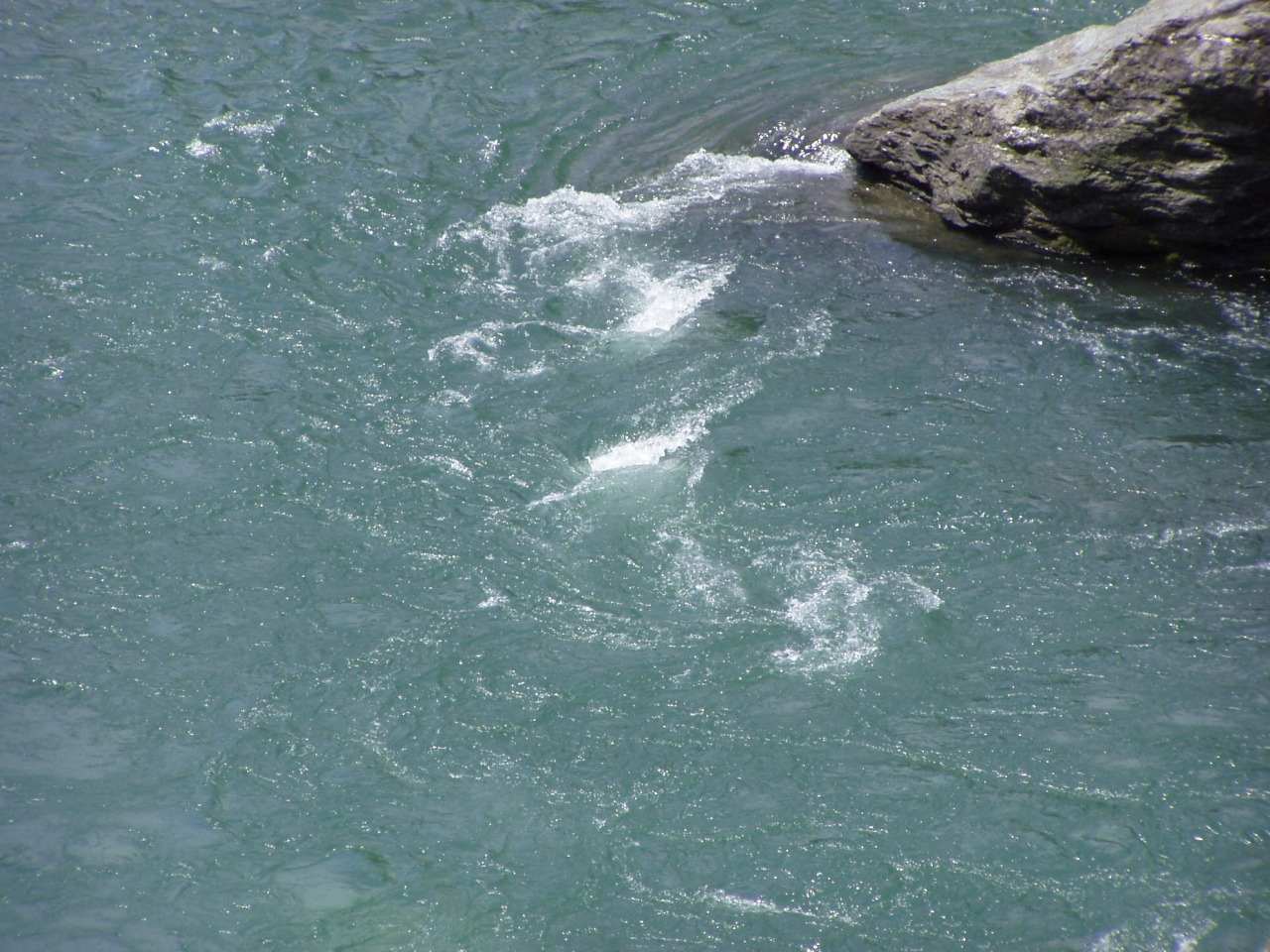 P1010002.JPG