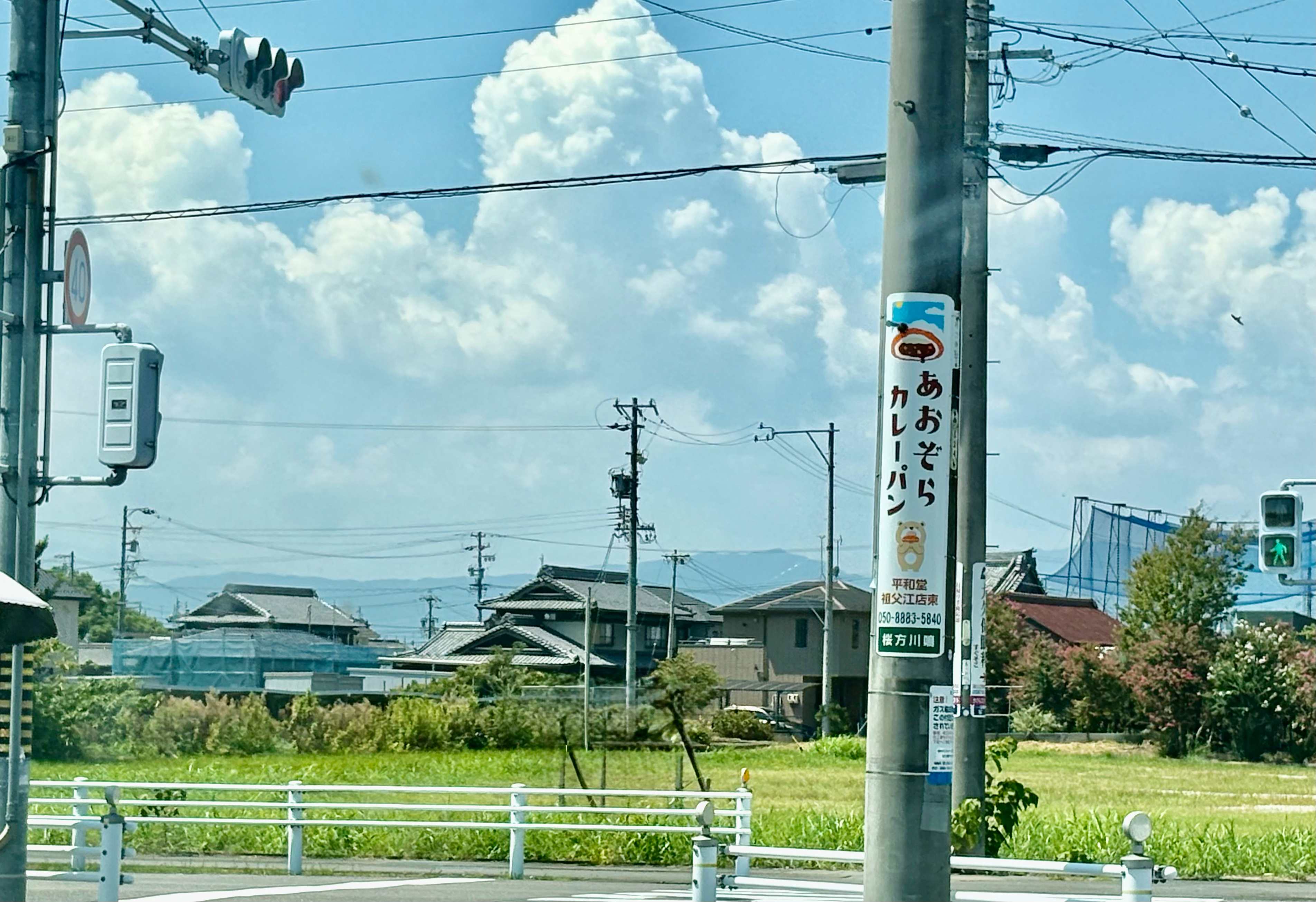 IMG_8781.JPEG