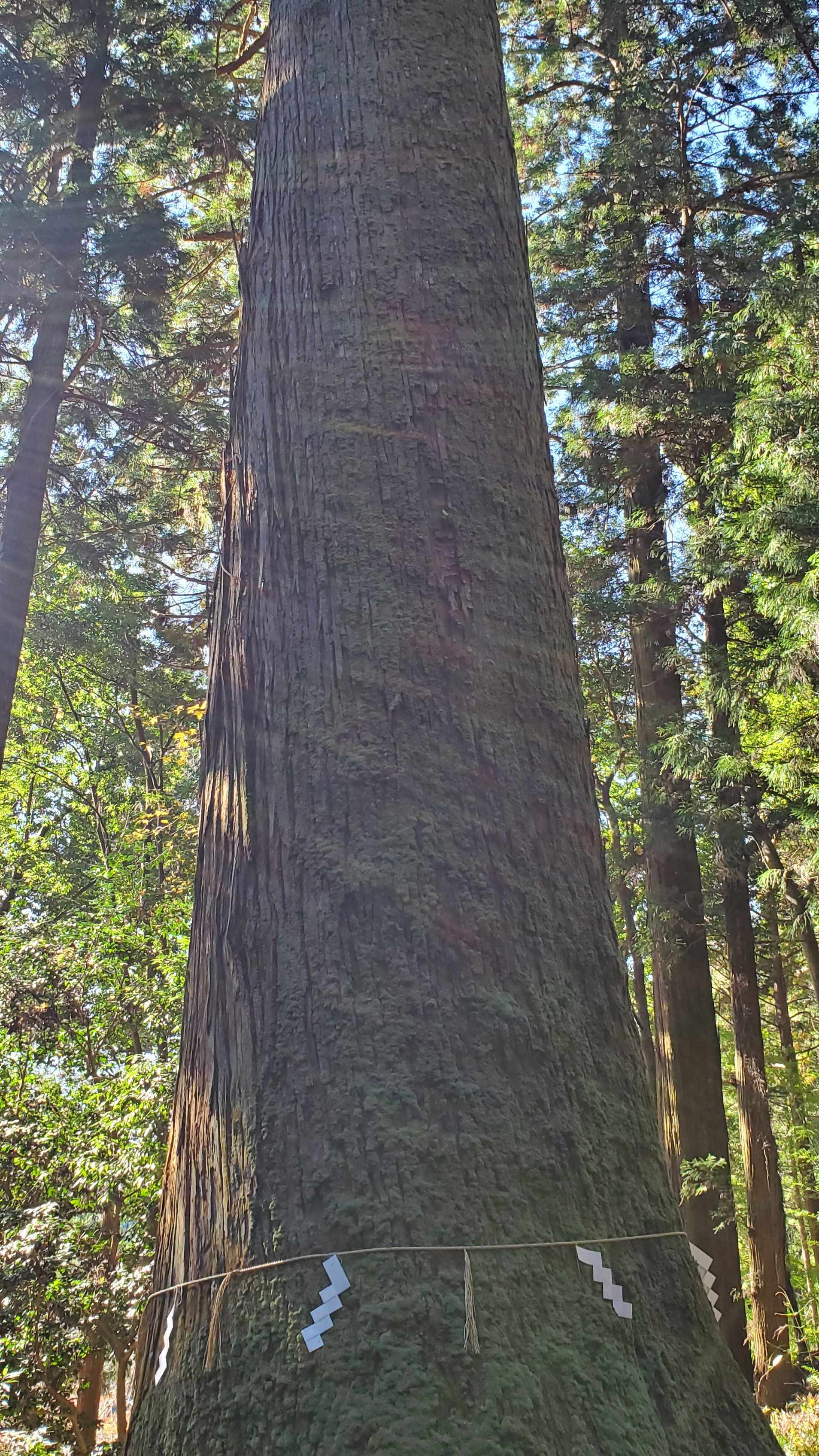 20201121_122916_copy_1908x3392[1].jpg