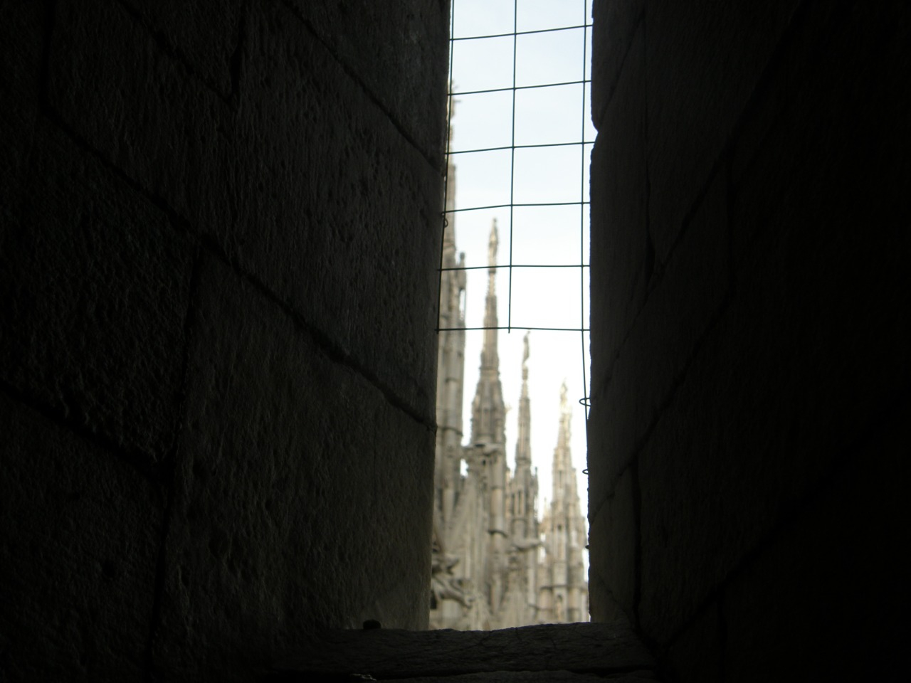 P2170450.JPG