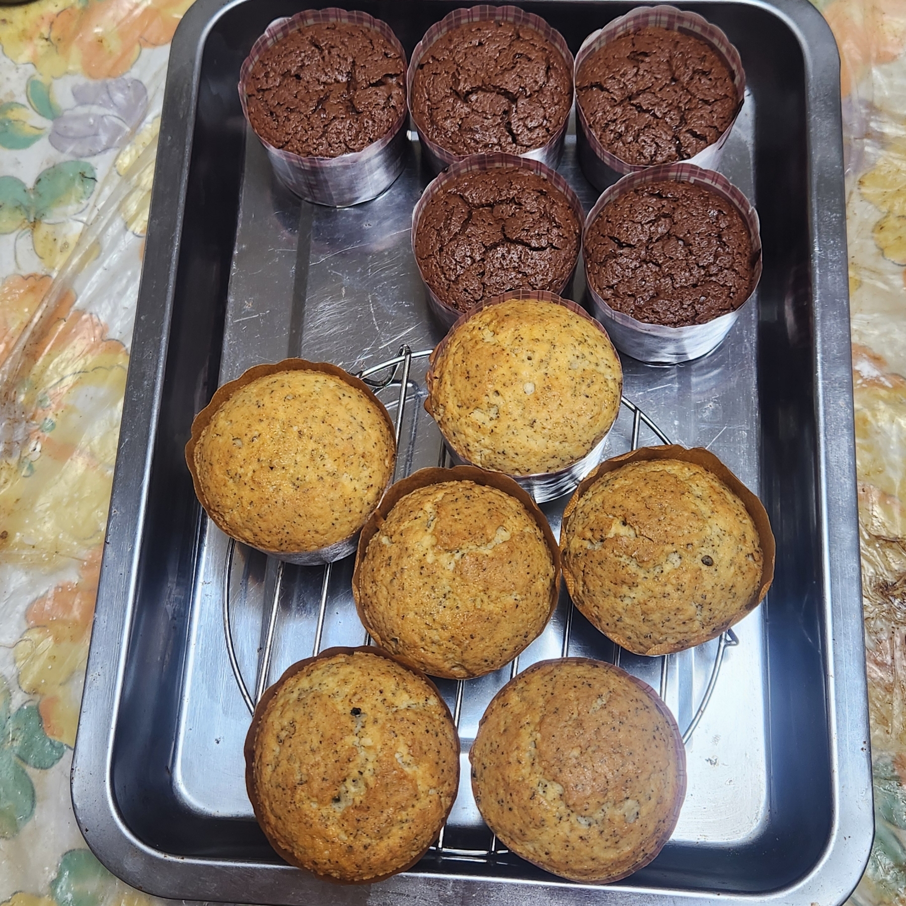 Point Blur_20251003_124209.jpg