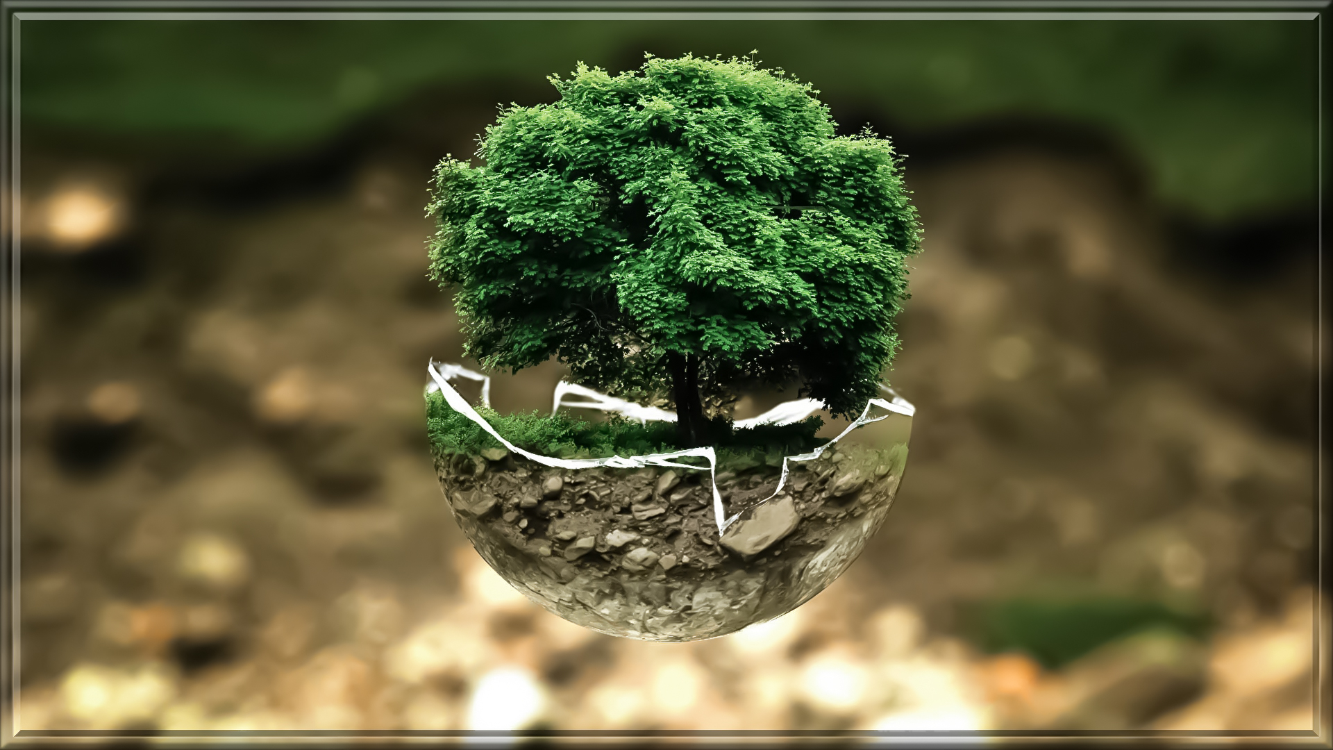 environmental-protection-683437.jpg