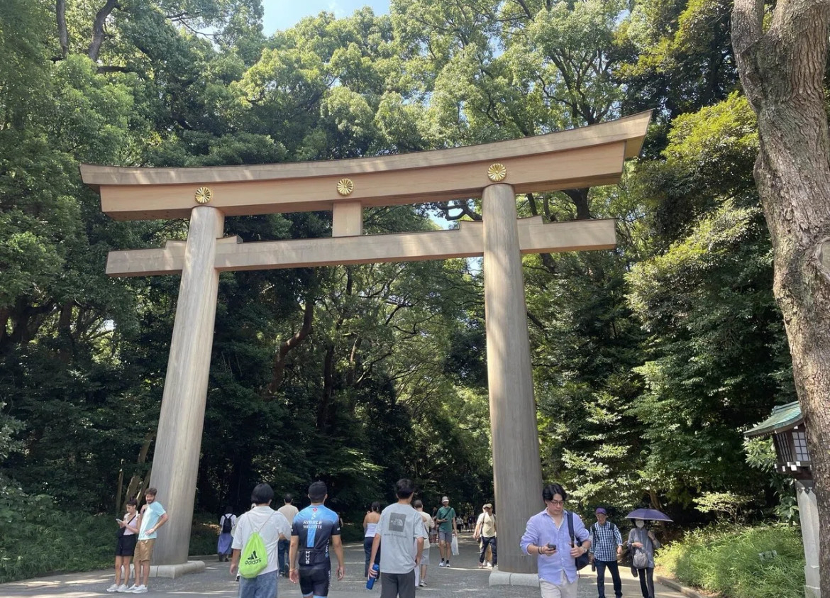 IMG_0130.jpeg