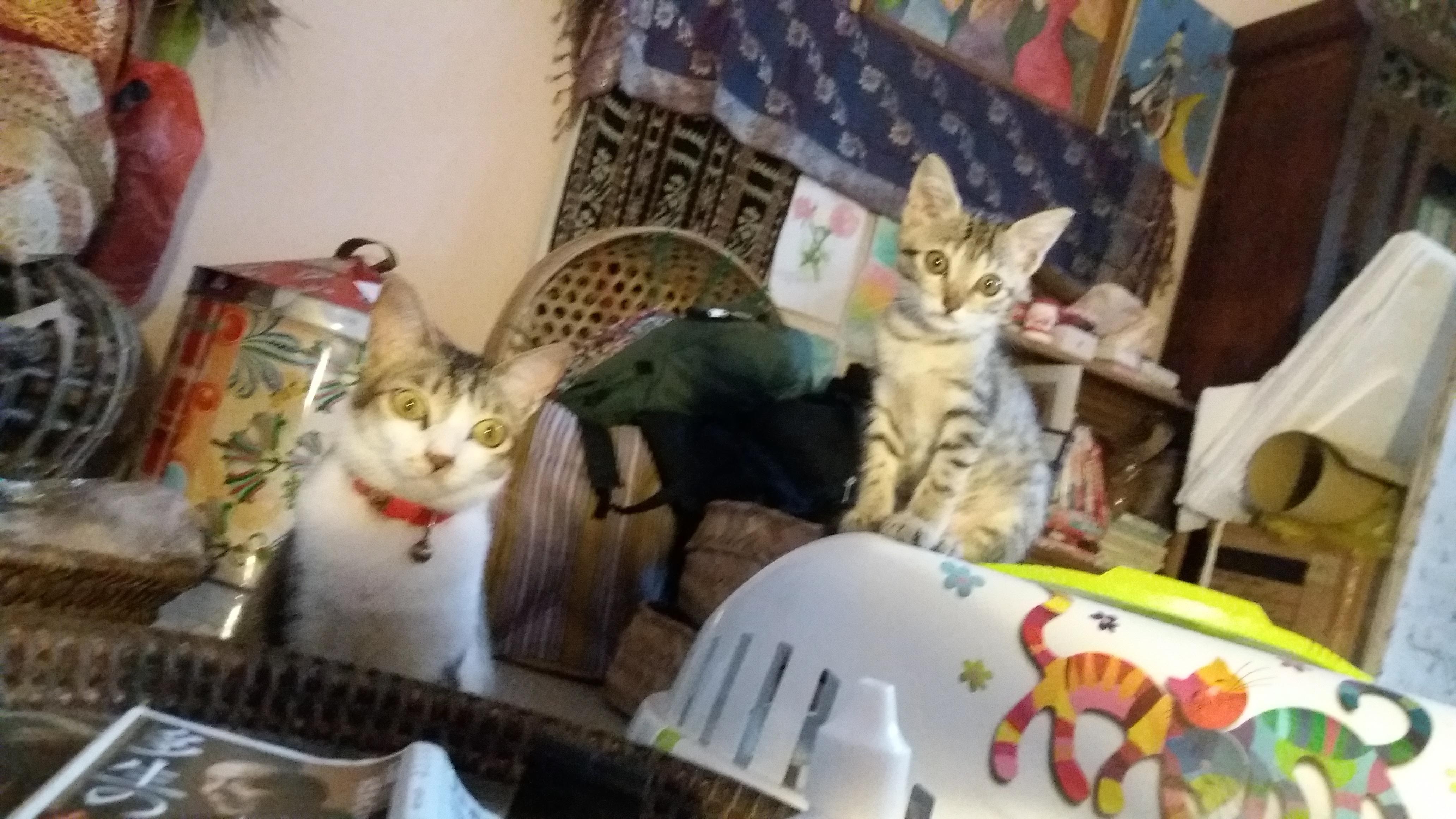 20190121_161543 (1).jpg