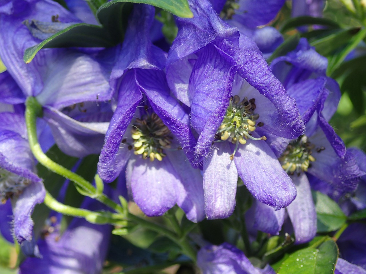 PB160172.JPG