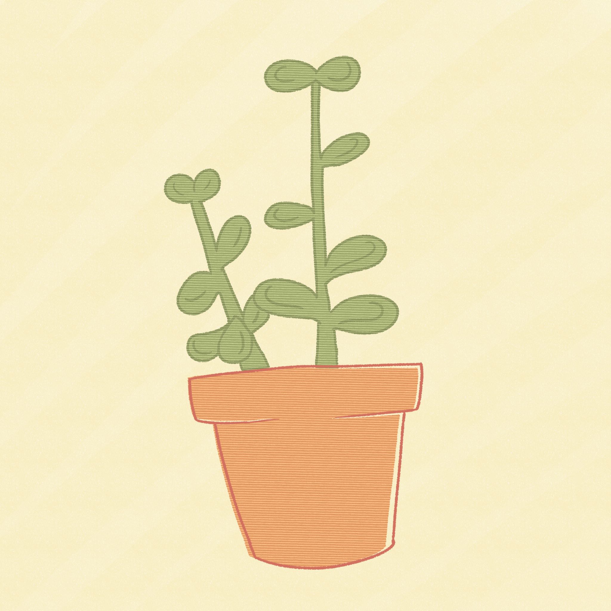 イラスト 7.jpg