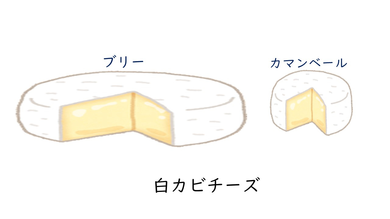 カマンベールチーズ.jpg