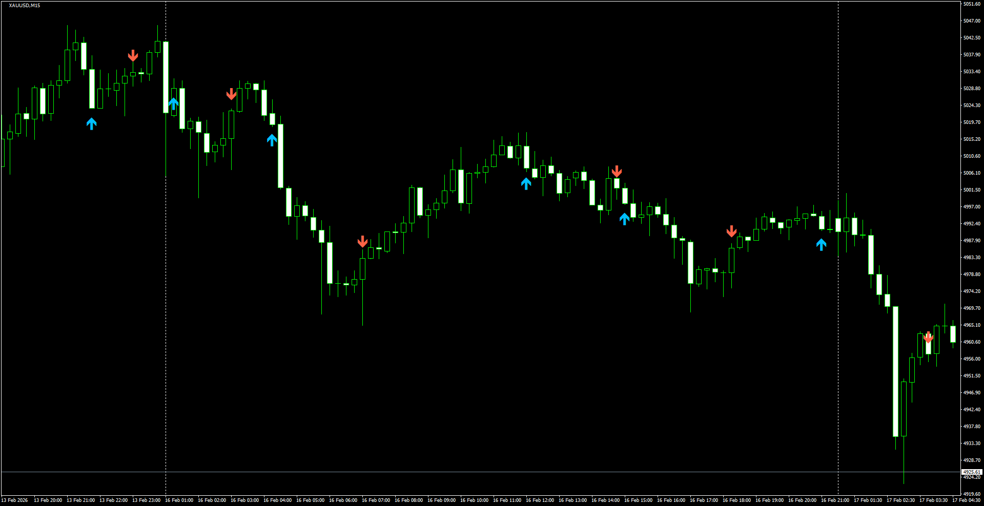 XAUUSD(M15)_2026.02.17_201629.png