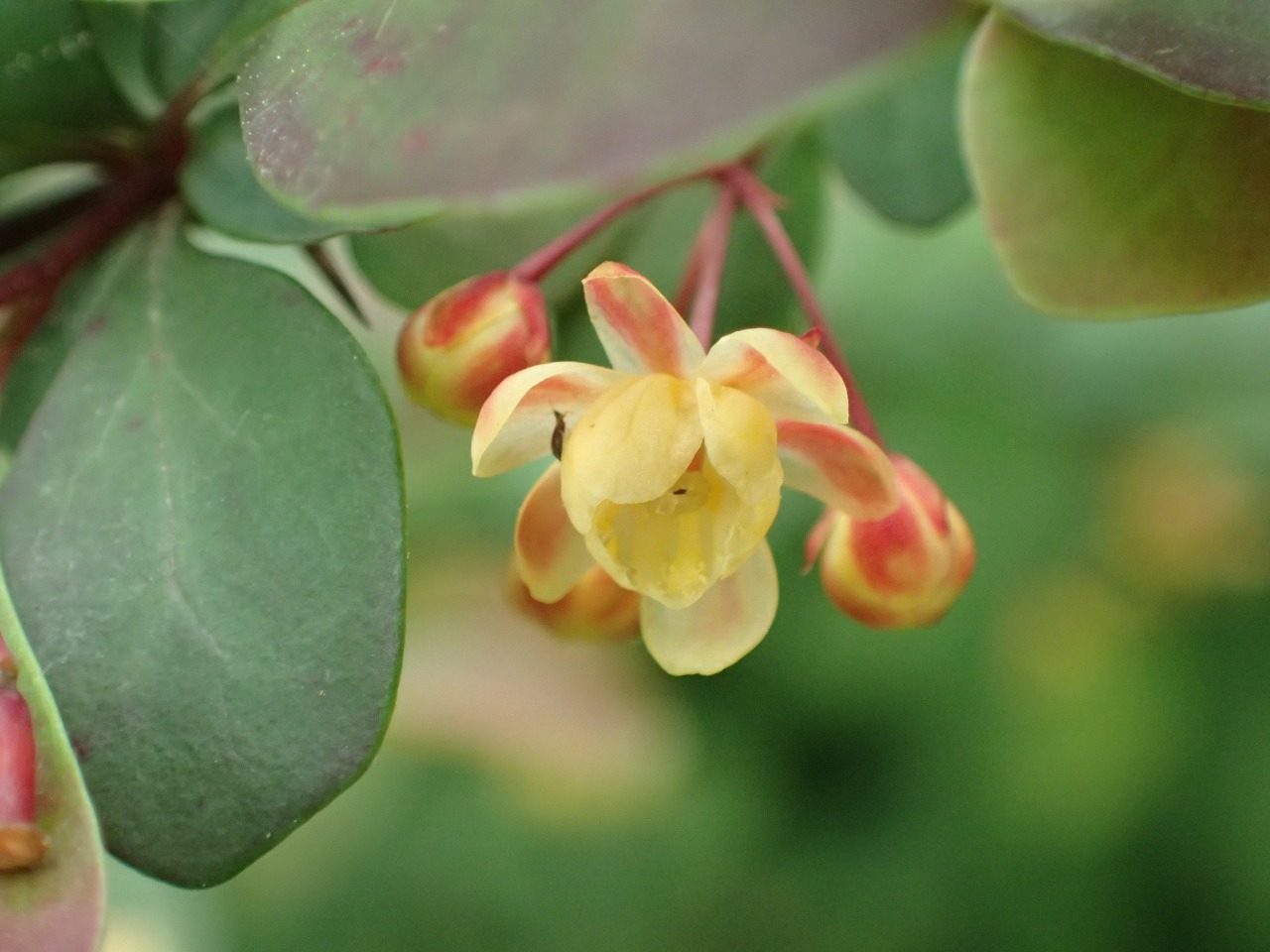 P4270544.JPG