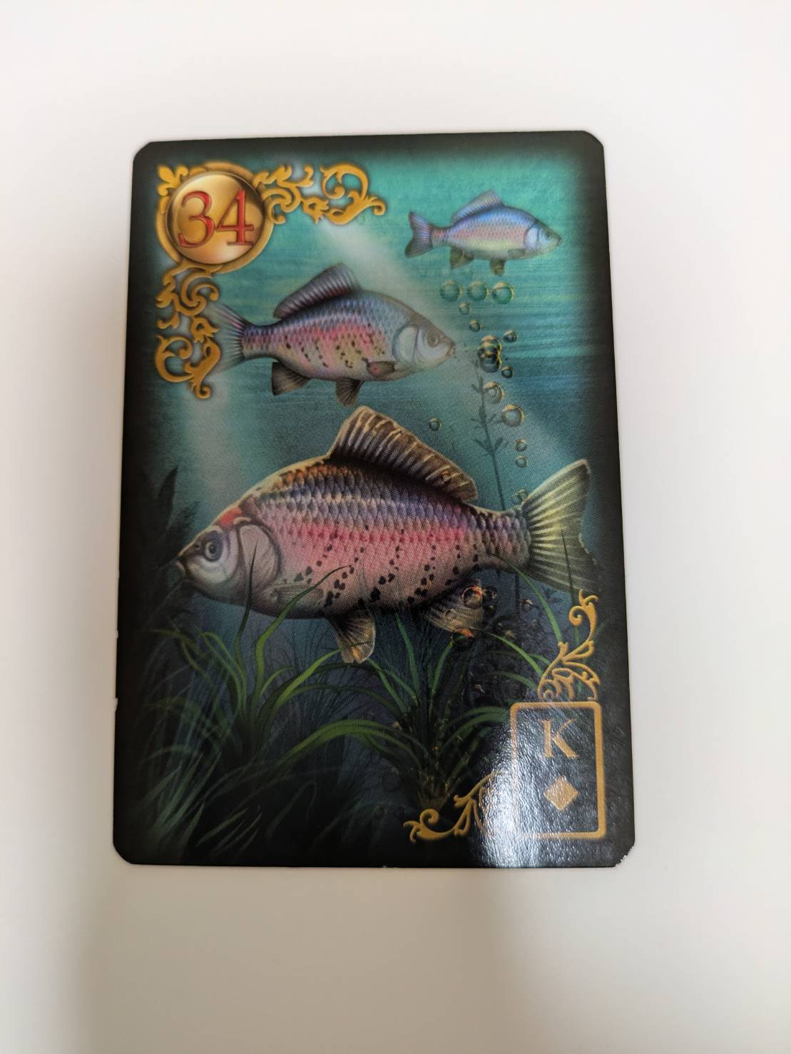 魚.jpg
