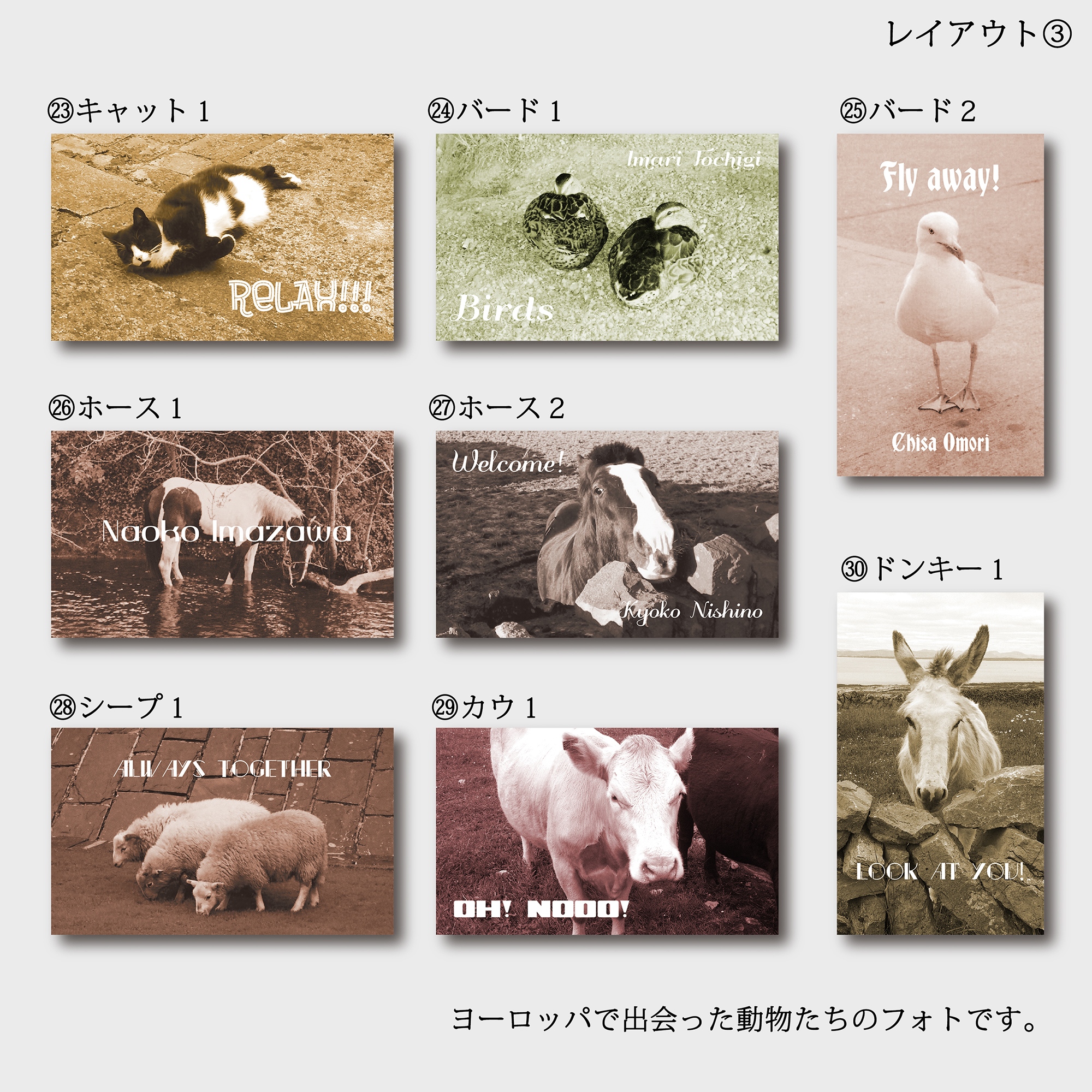 画像4.jpg