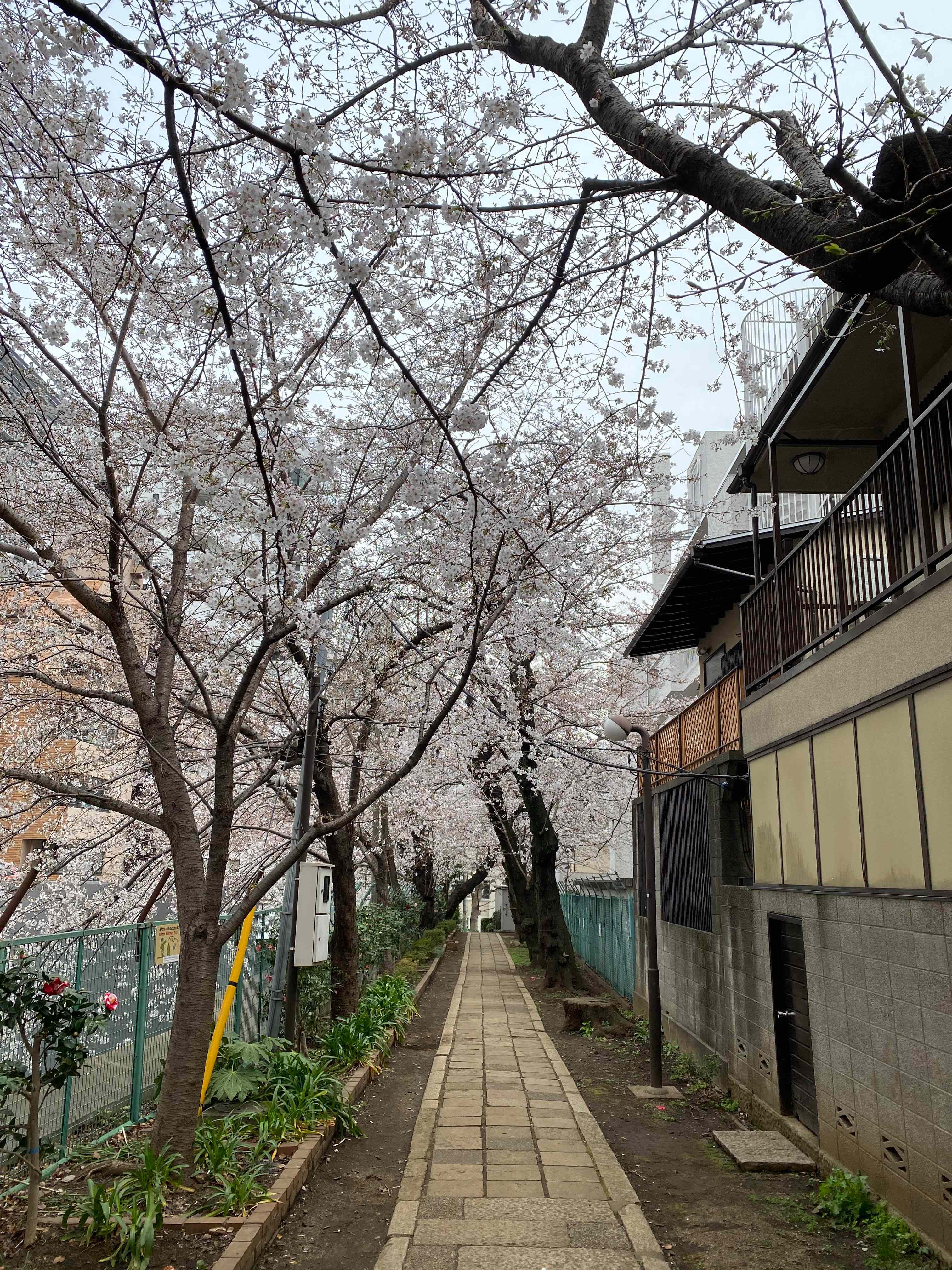 児童遊園3.jpg