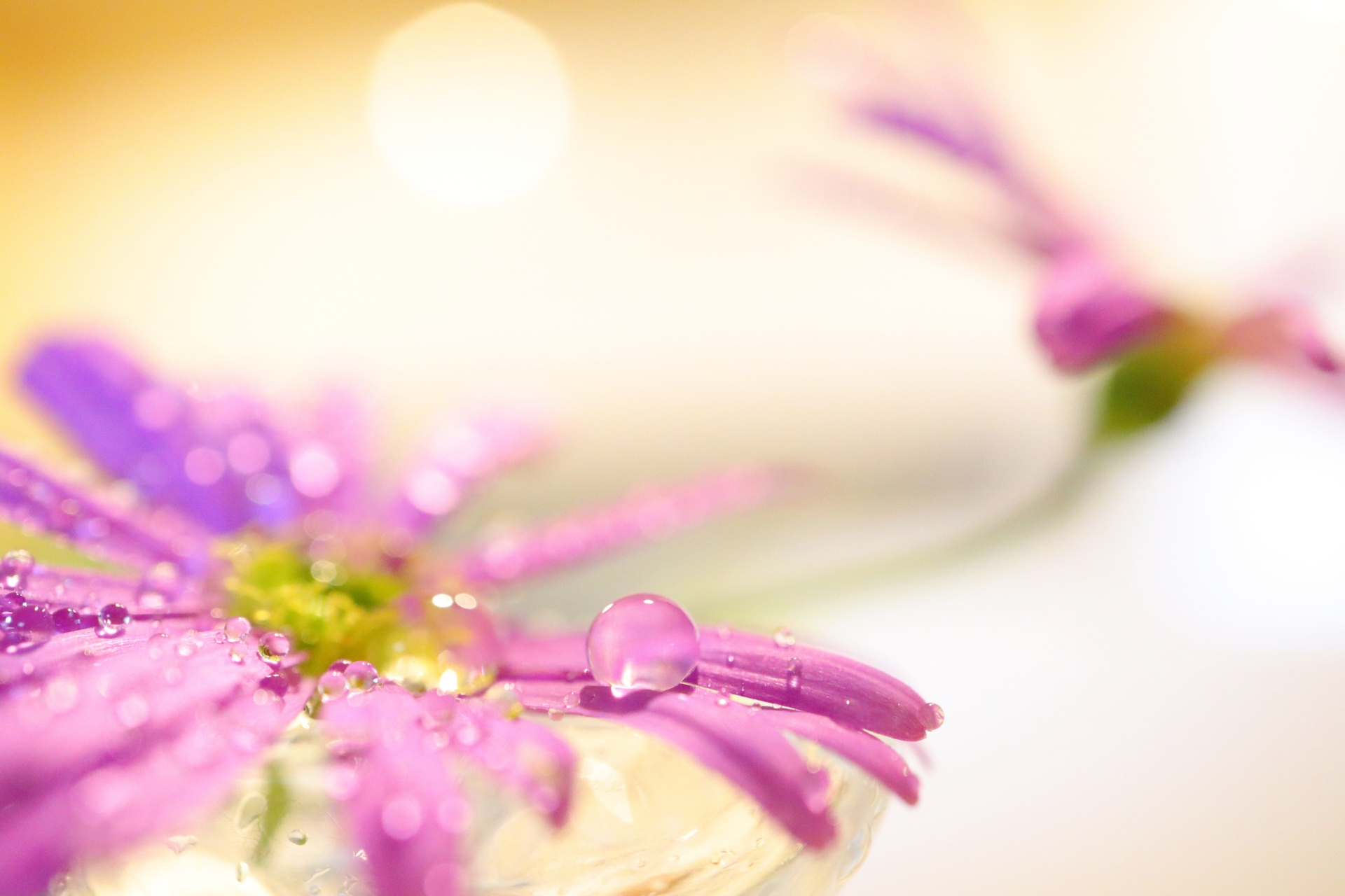 C6A7F1E2-614C-43E1-BA02-9C755D053681.jpeg