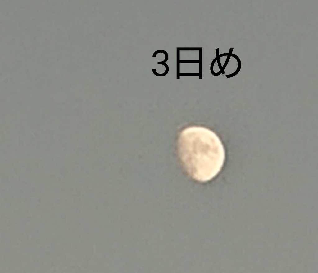 sketch-1667553566362 (2).png