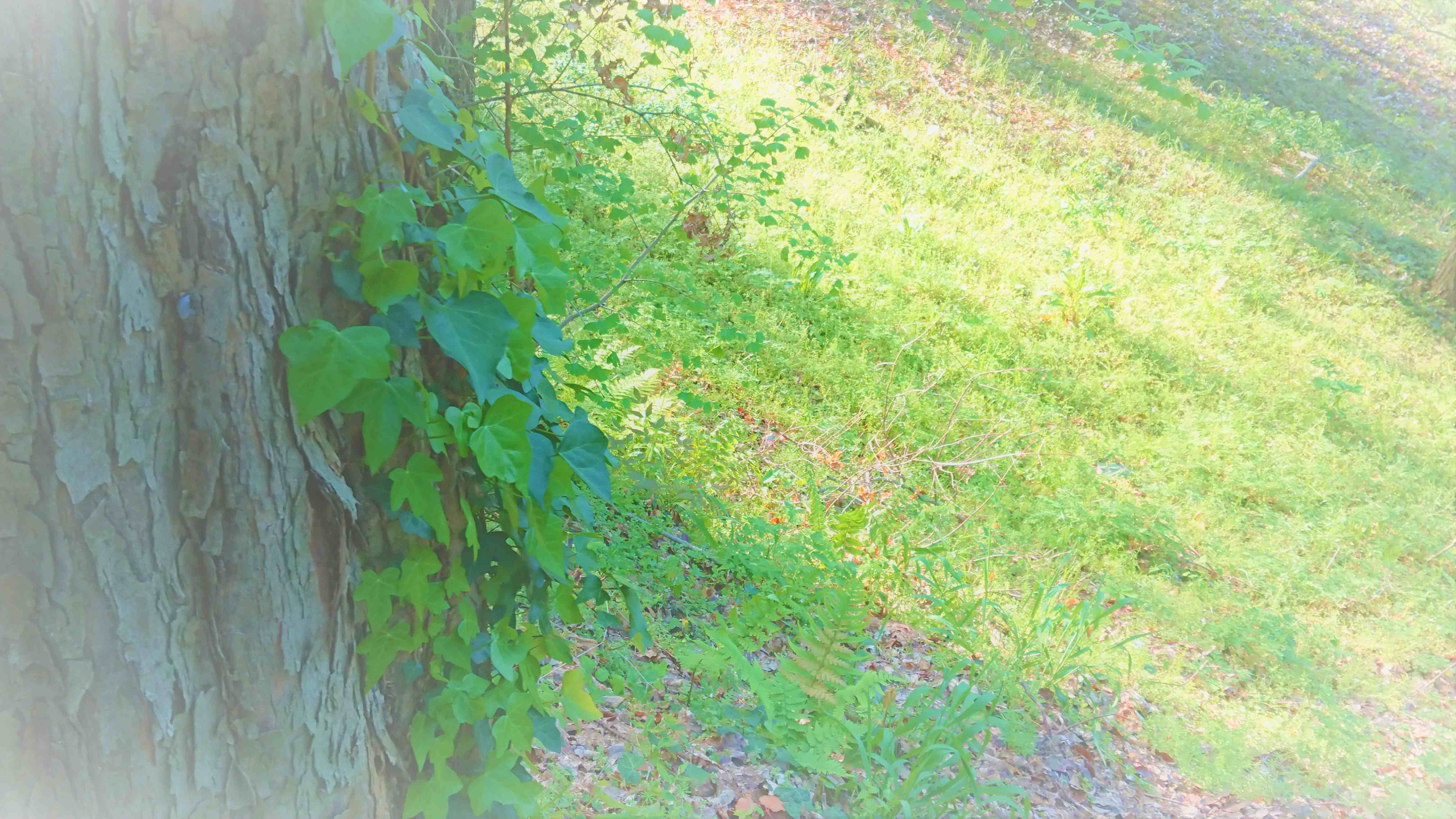 _20230408_105515 (2).JPG