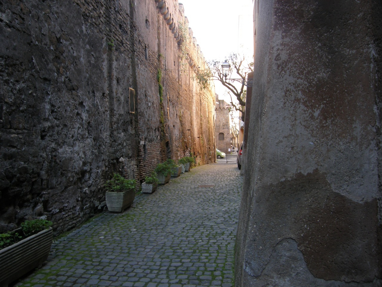 P2140115.JPG