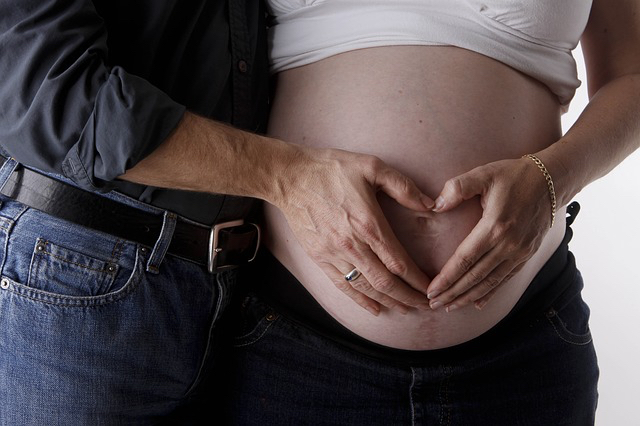 pregnant-woman-gc3a610075_640.jpg