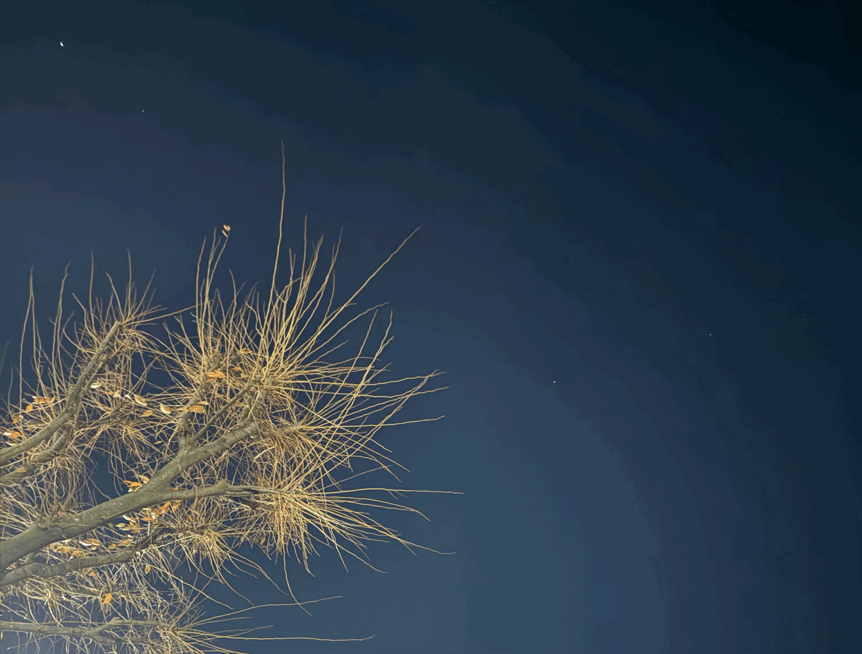 tempImageHrSeUL.gif