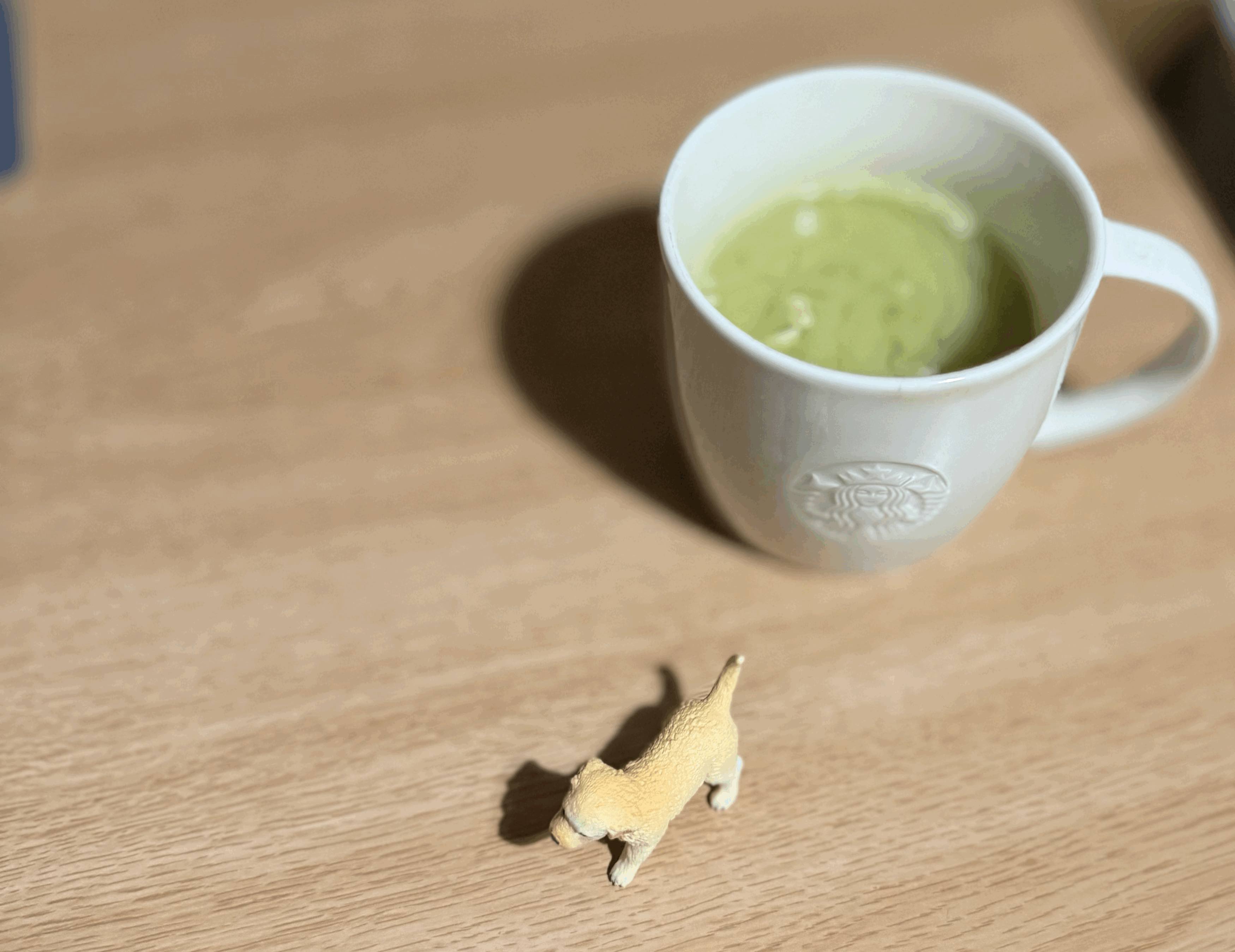 tempImageOUxniT.gif