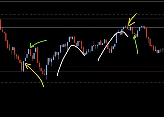 スクリーンショット 2024-11-19 092524.jpg