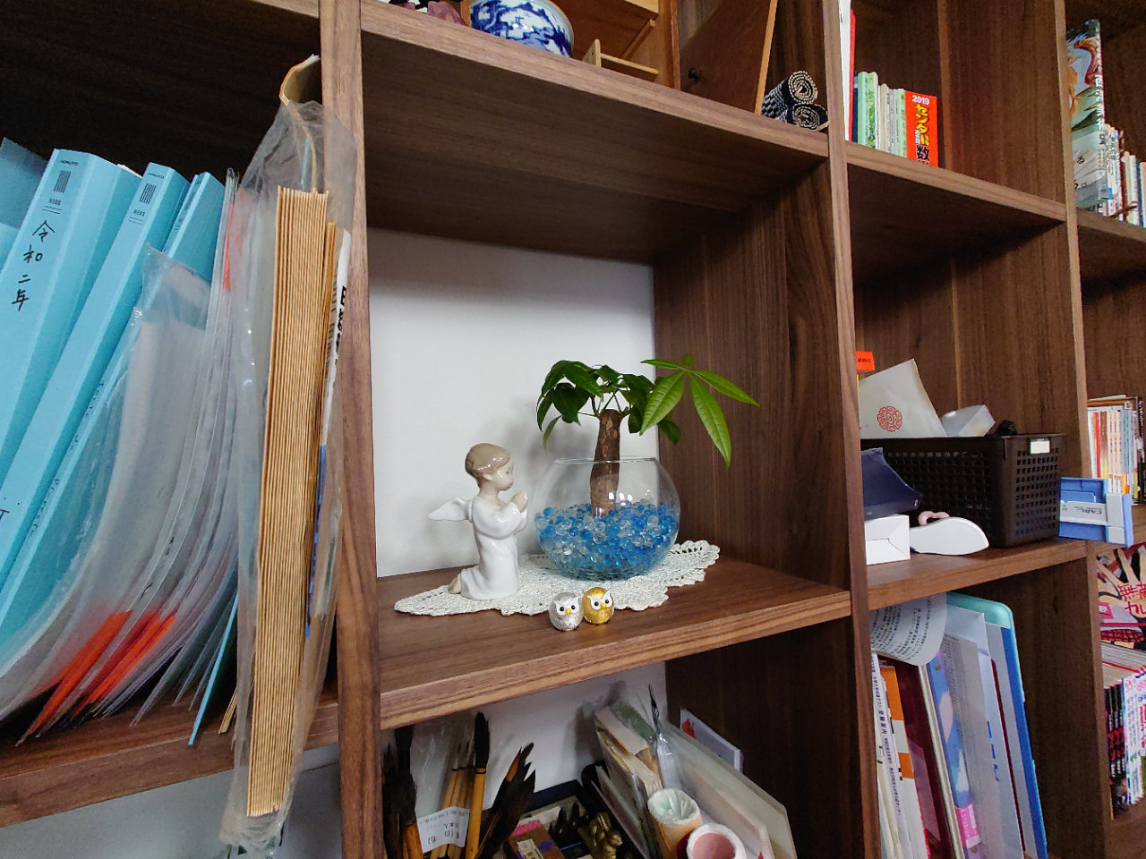 20201202_111549.JPG