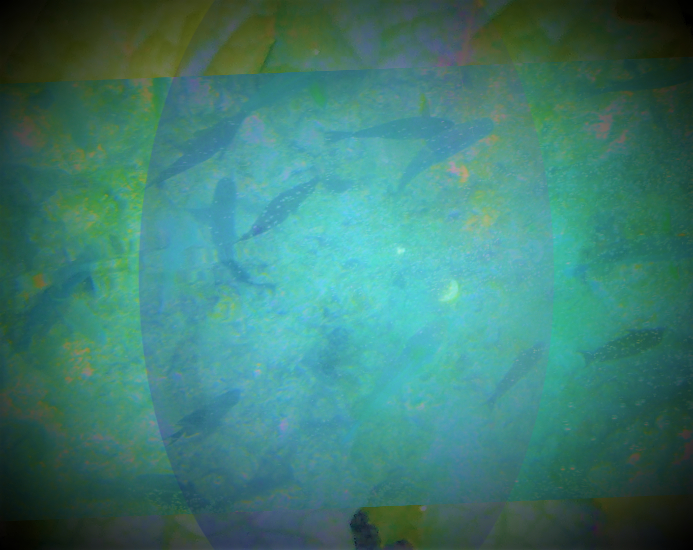 sketch-1638081843281 (3).png