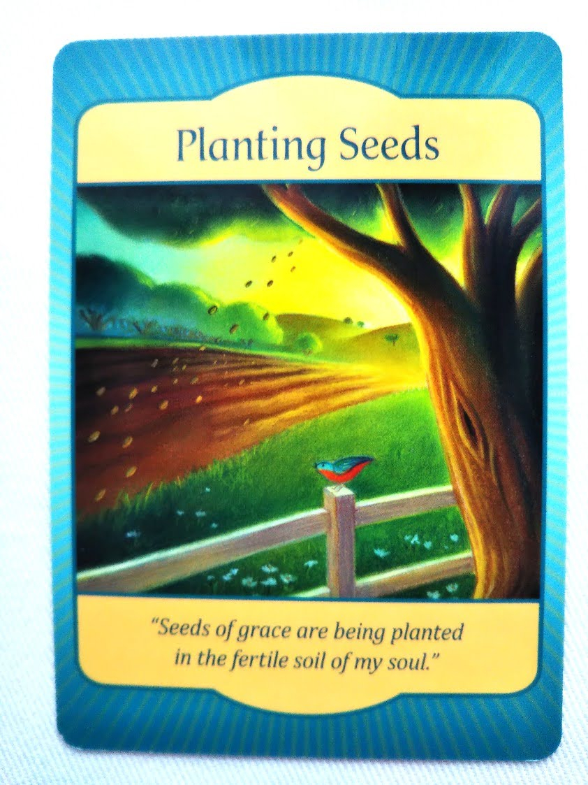 IMG_20220825_132424.jpg