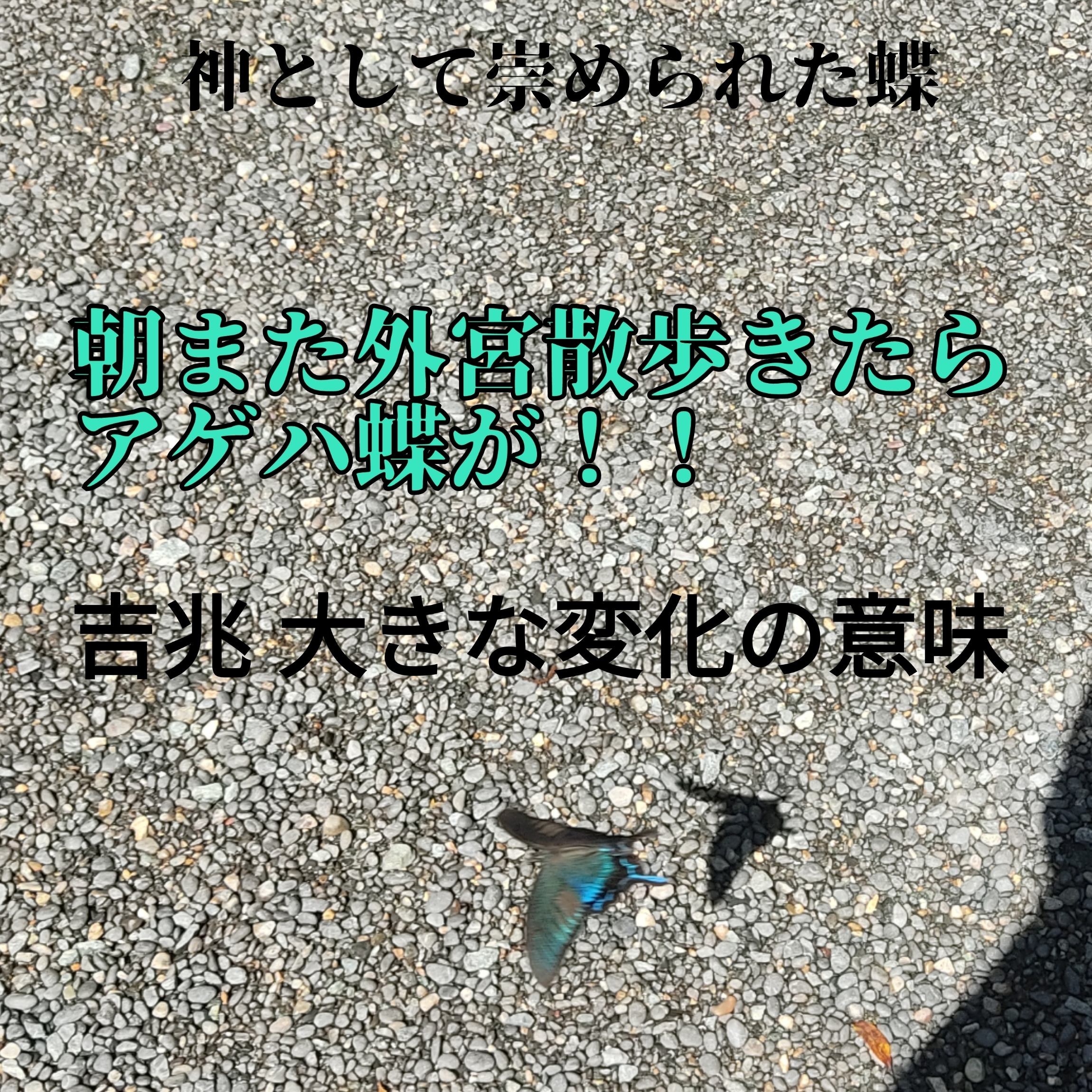 IMG_20220731_181930_730.jpg
