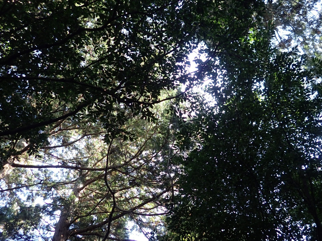PC310209.JPG
