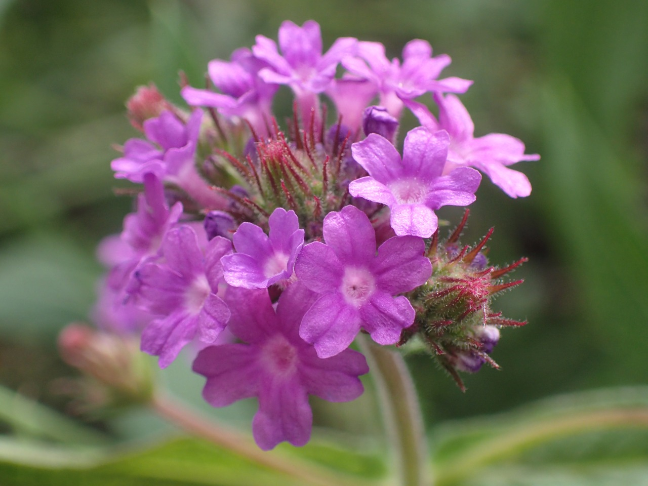 PA050340.JPG